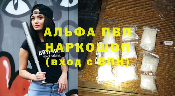 сатива Великий Новгород