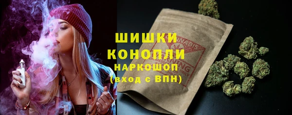хмурый Покачи