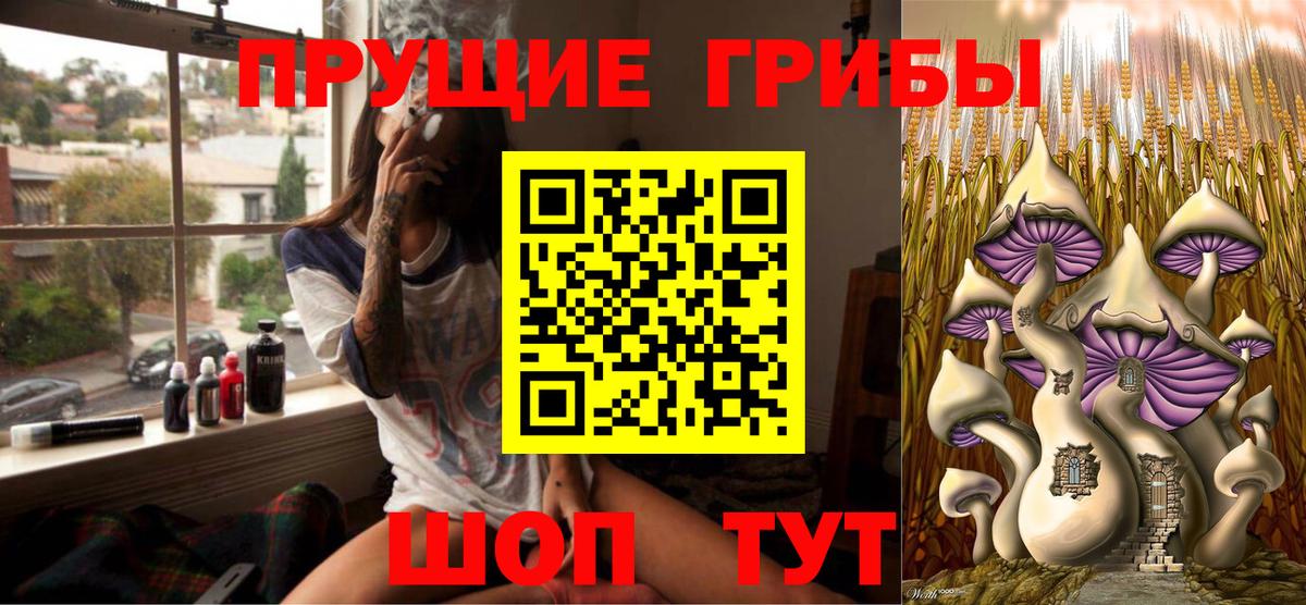 Псилоцибиновые грибы Psilocybine cubensis Кудымкар