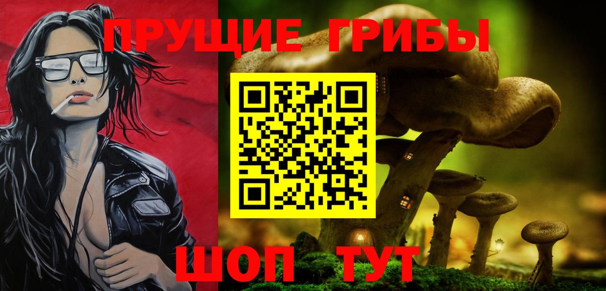 Кудымкар  Псилоцибиновые грибы Cubensis  Вход с VPN 